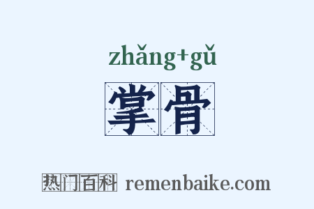 掌骨是什么意思的图片